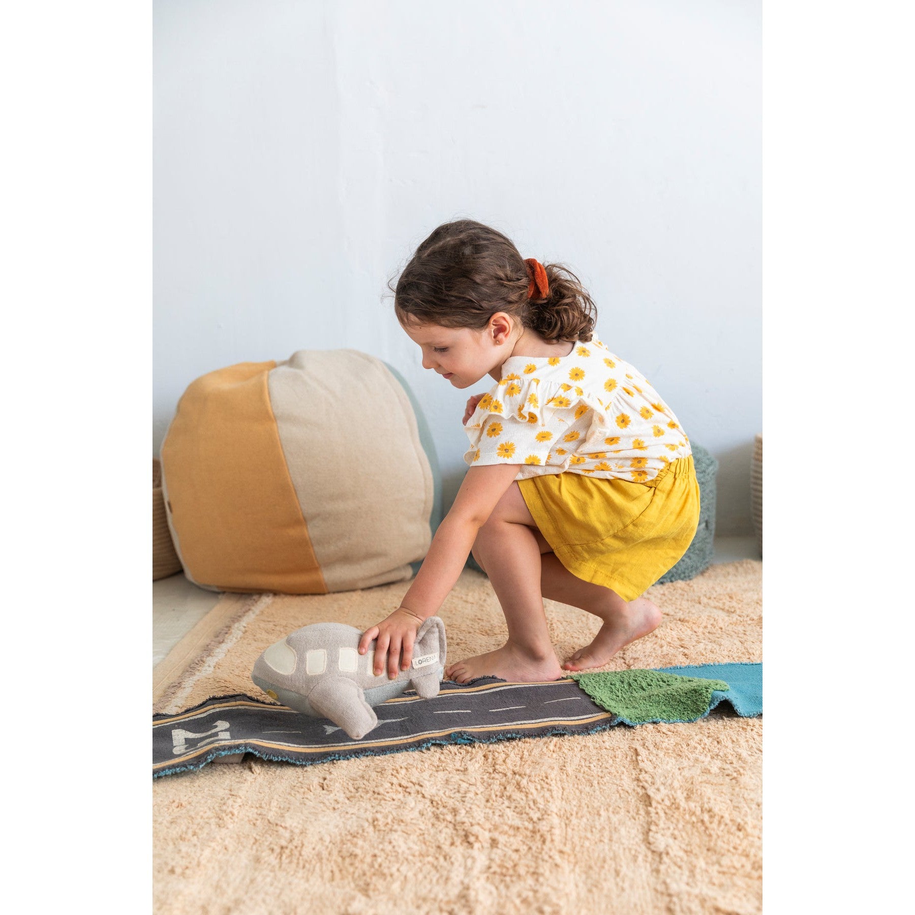 Ride & Roll Airplane、mySite、gigharbornorthrealestate