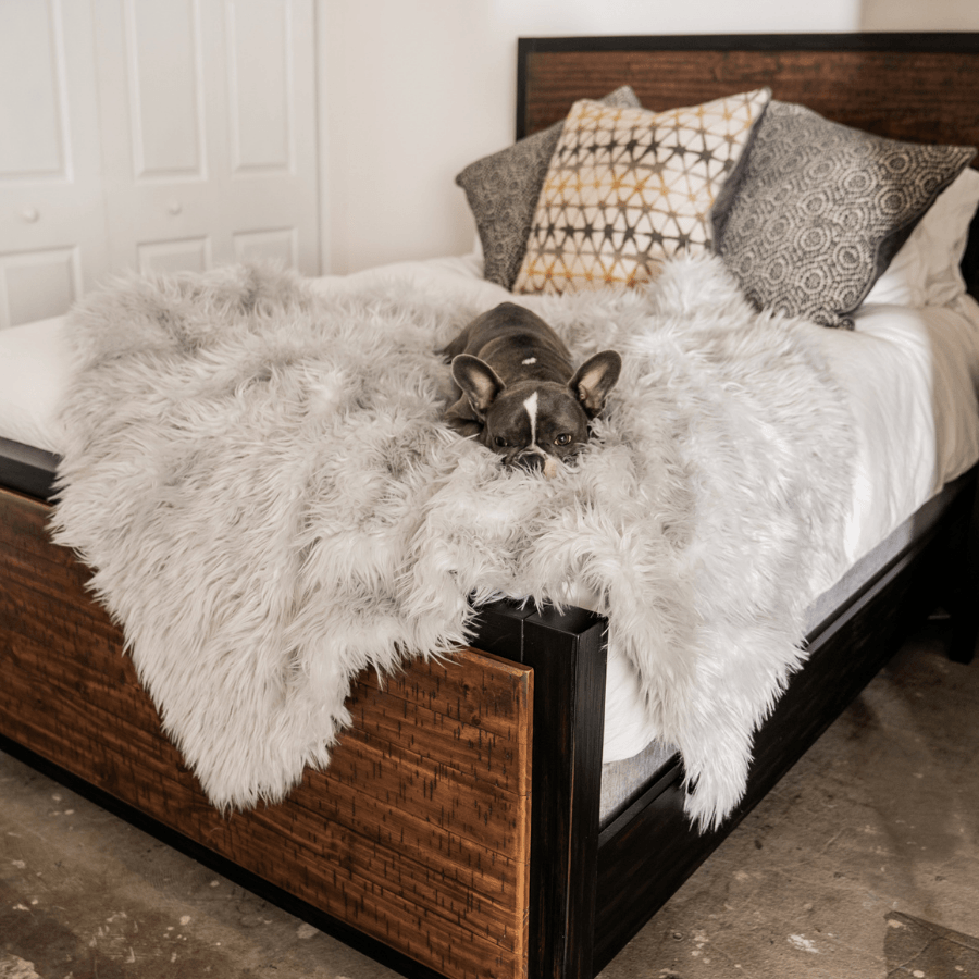 PupProtector™ Waterproof Throw Blanket - Grey、mySite、solidvoid