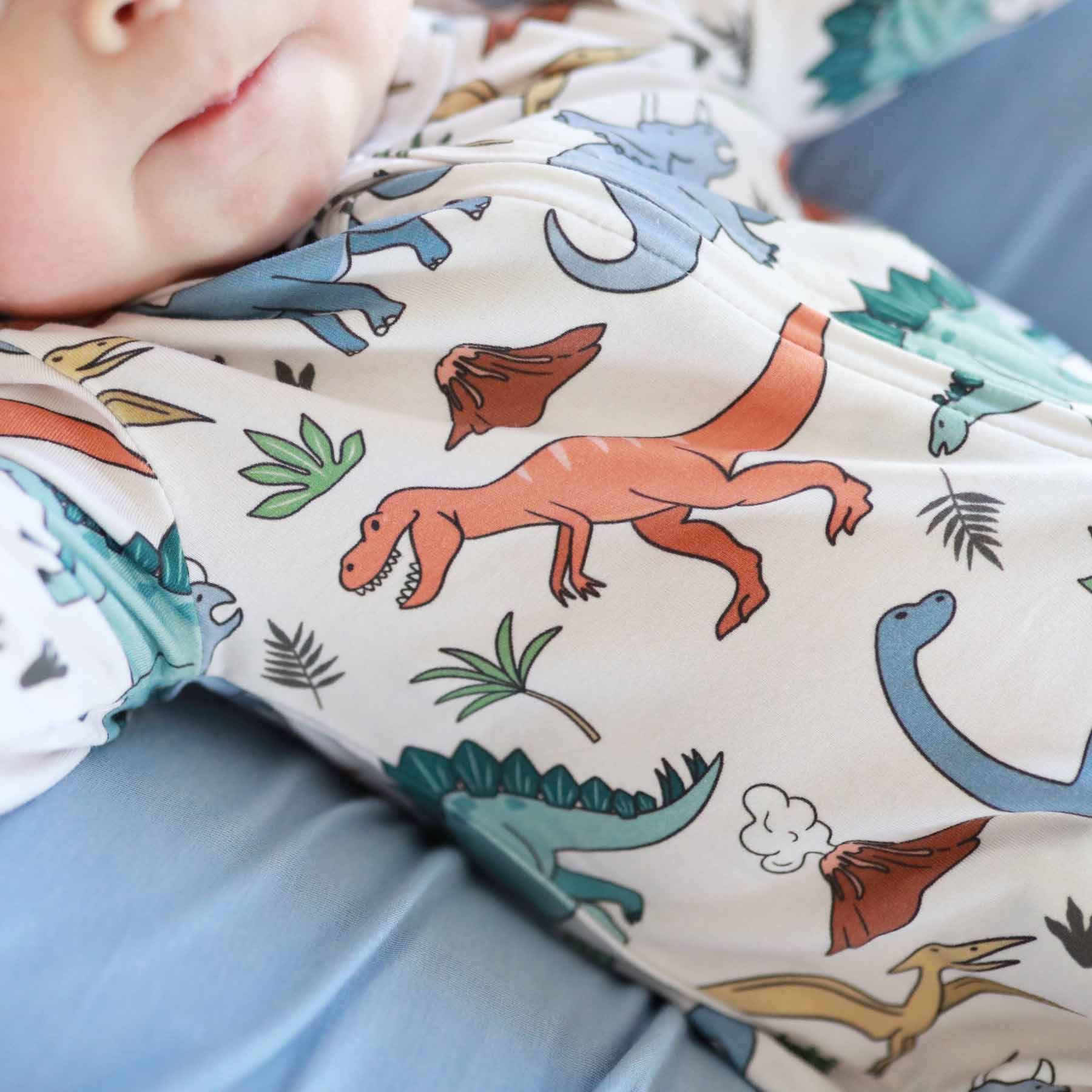  Dino Dude Zipper Footie、mySite、layawaytickets