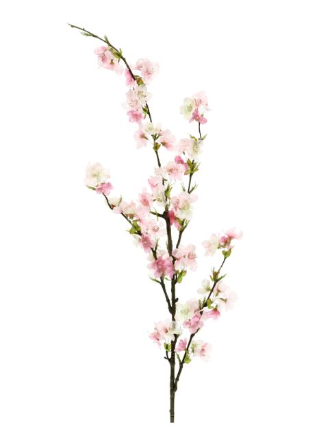  Cherry Blossom Spray、mySite、elrpsem3k