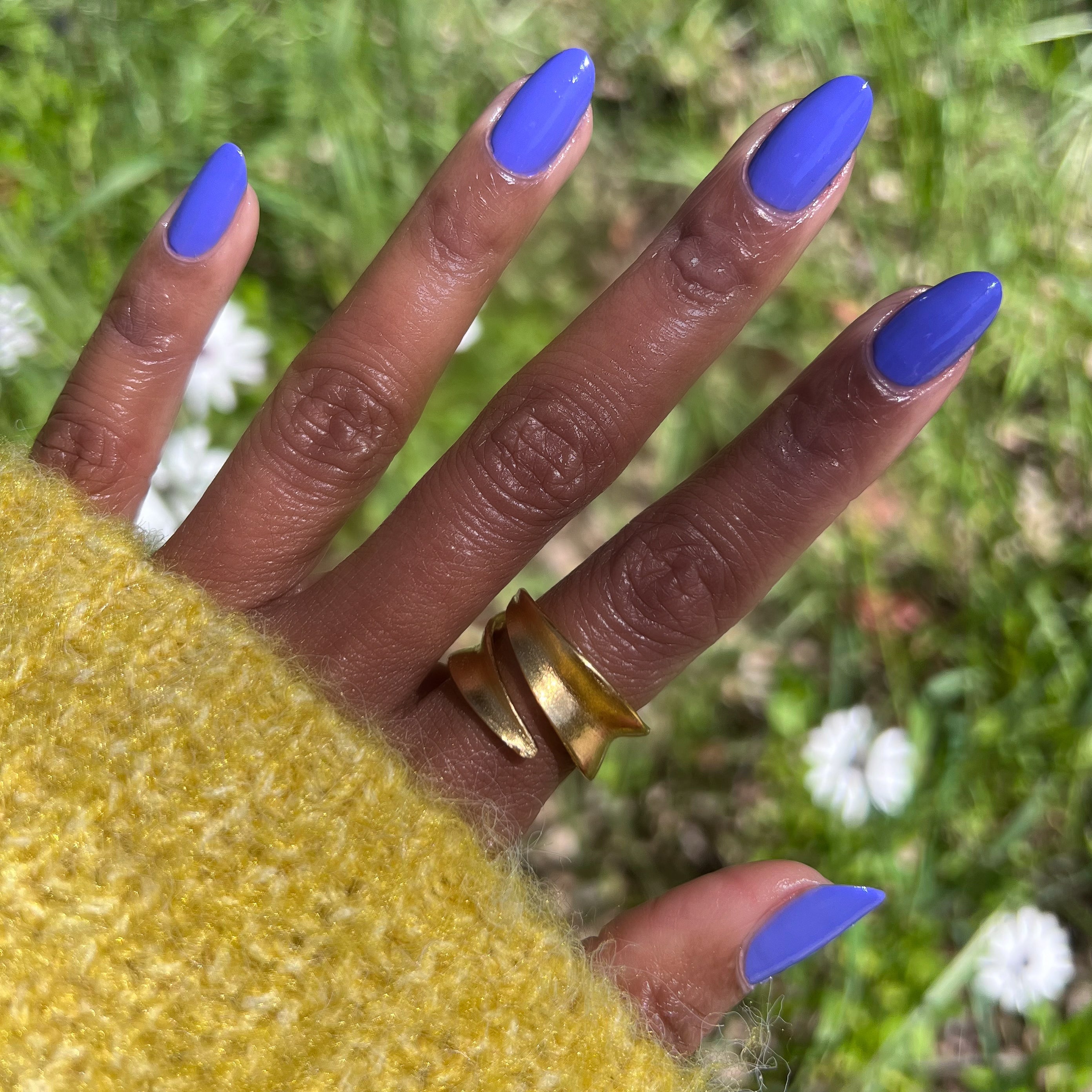 Royal、mySite、solidvoid