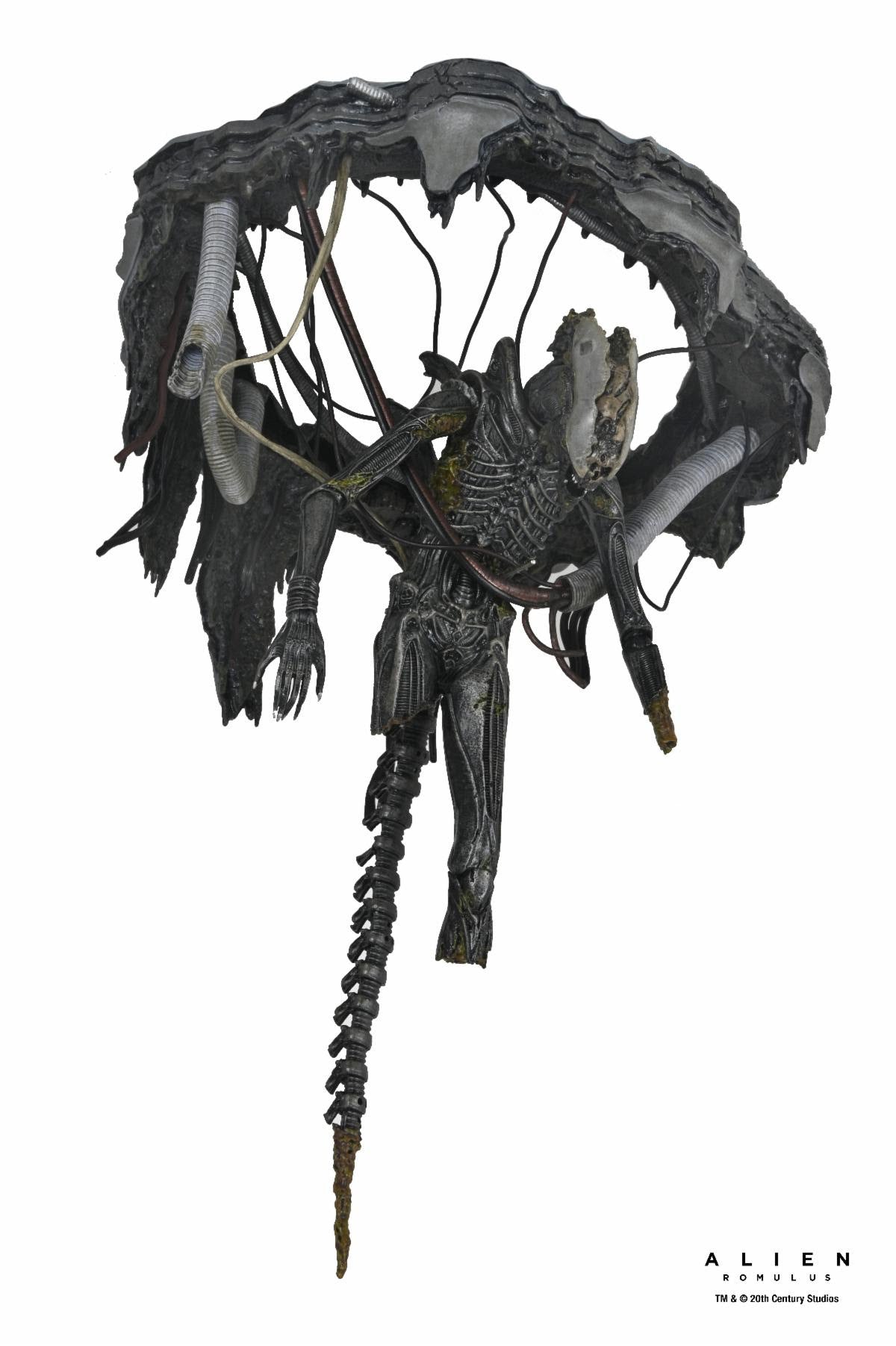 NECA Alien: Romulus Deluxe Suspended Lab Xenomorph XX121、mySite、hgirdovlk