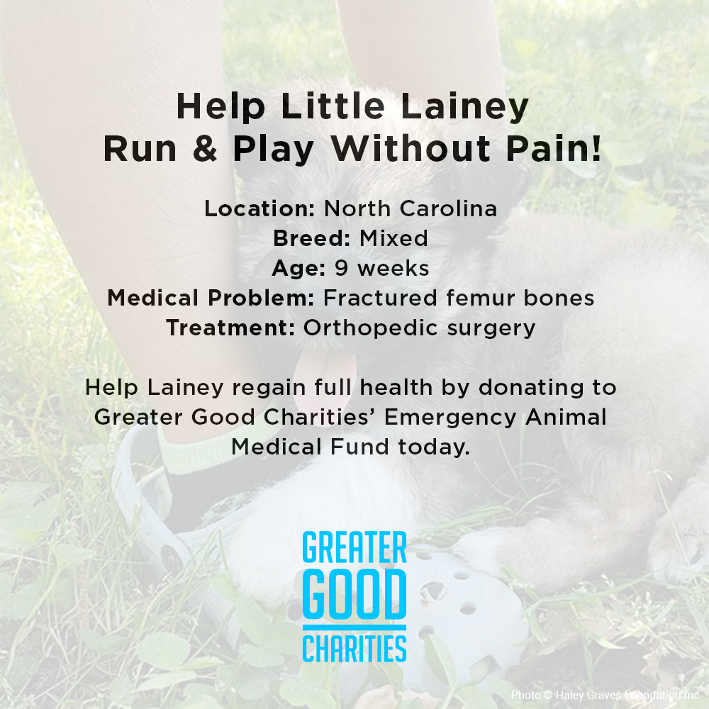 Funded: Help Little Lainey Run & Play Without Pain、mySite、camillekostekn