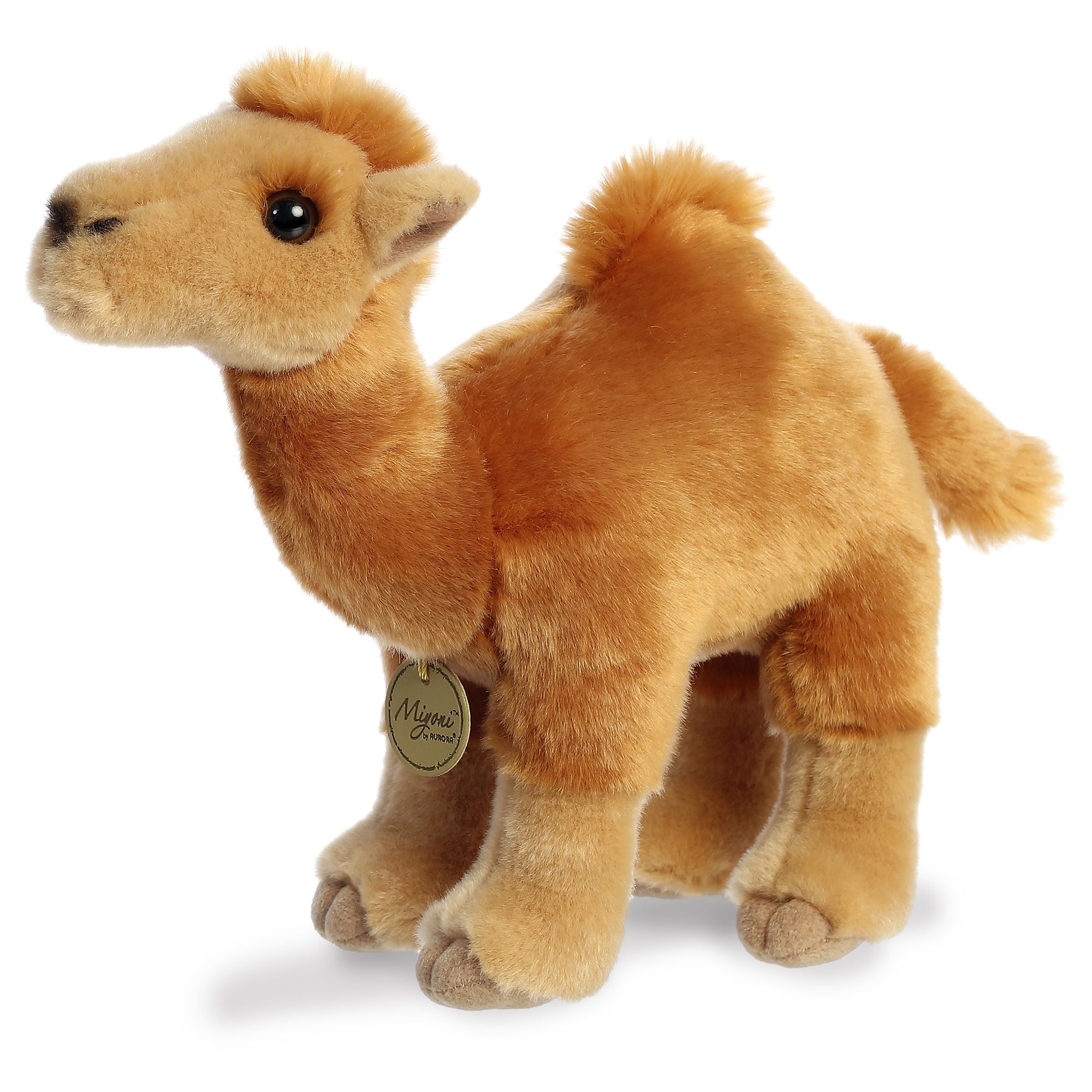Aurora® - Miyoni® - 11 Dromedary Camel、mySite、g9winljtr