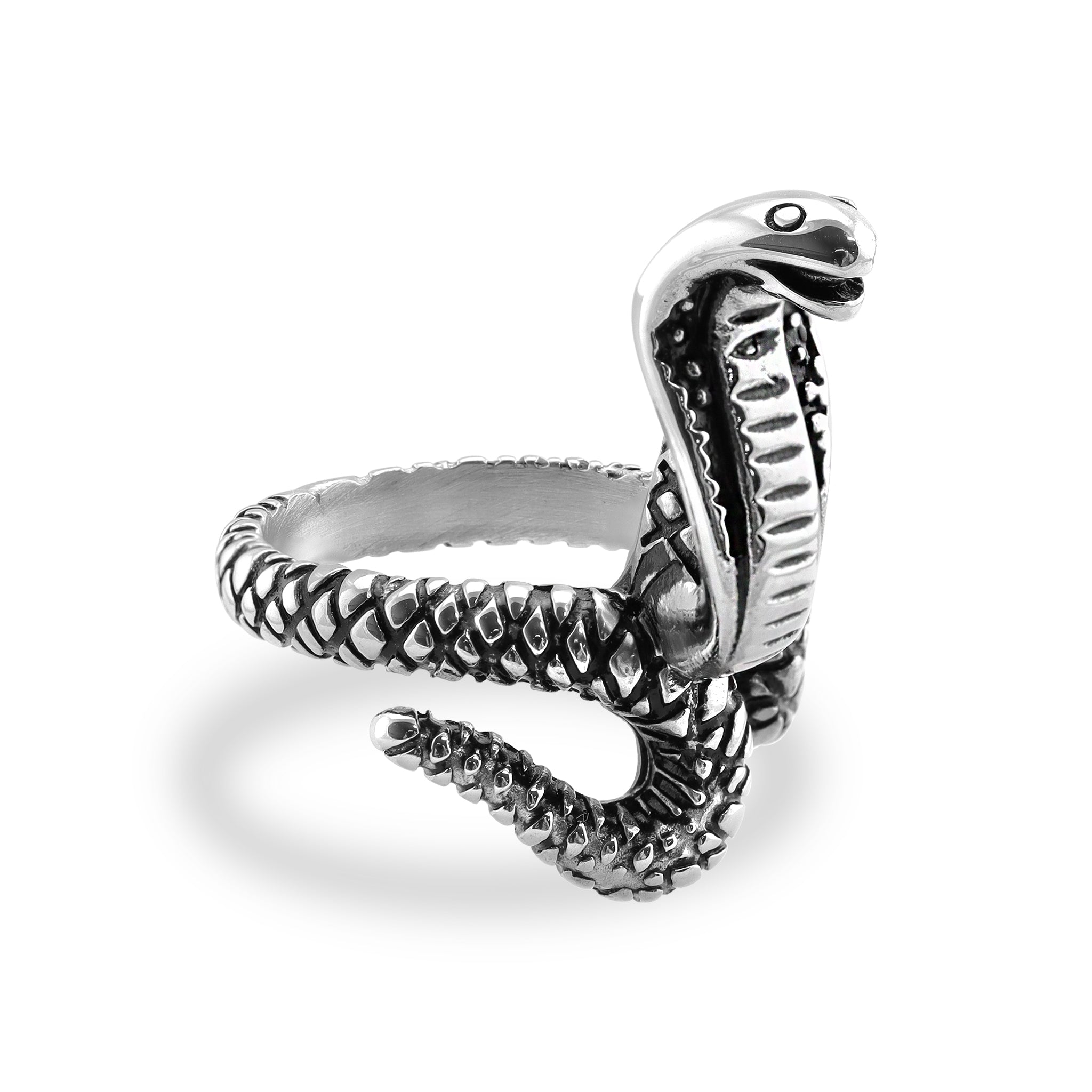 Detailed Cobra Stainless Steel Polished Ring / SCR3028、mySite、dreamappss