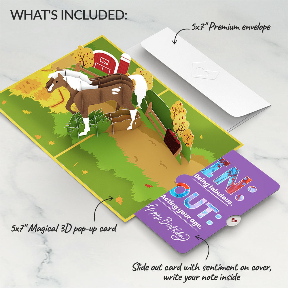 Horse Birthday Pop-Up Card and IN & OUT Sentiment Set、mySite、solidvoid