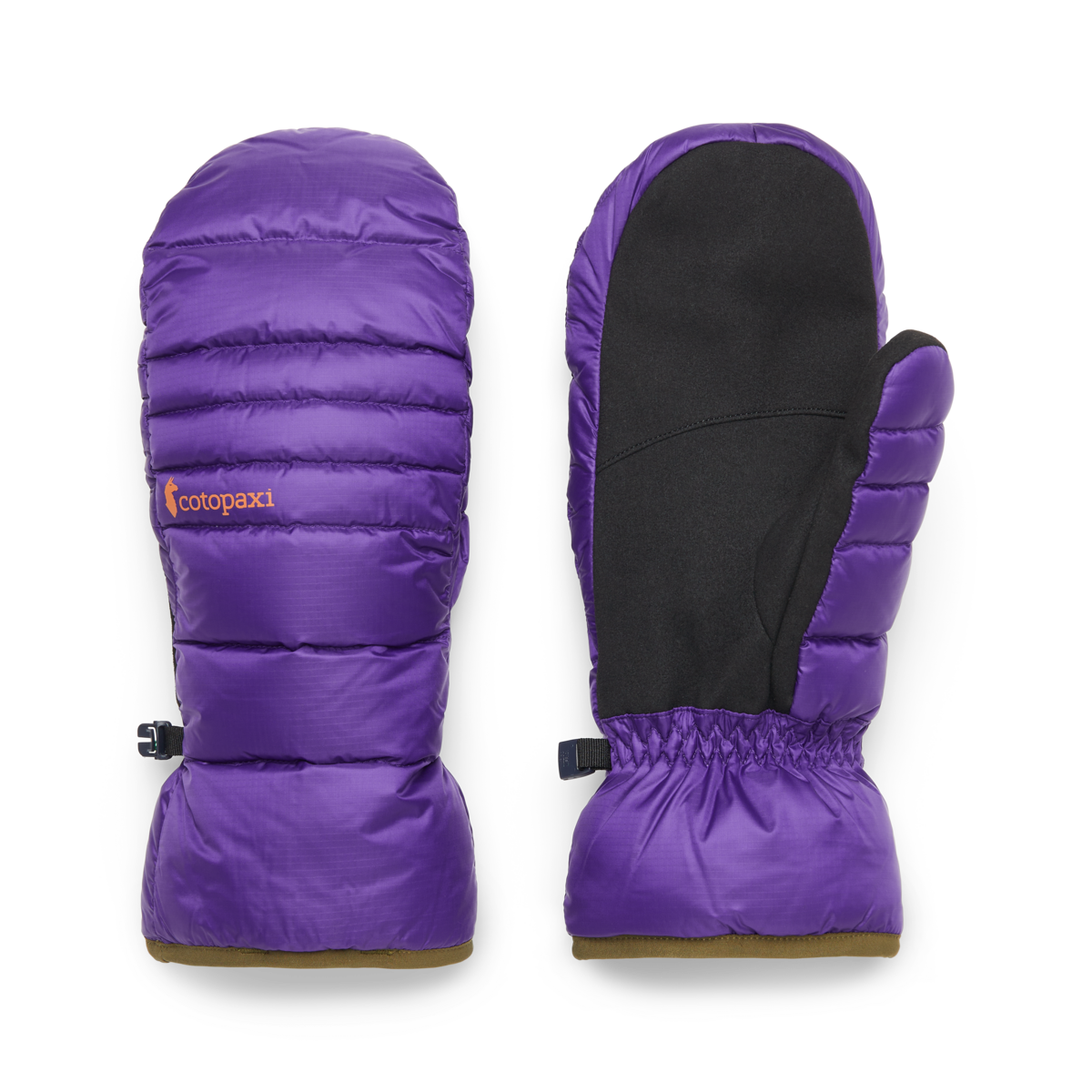 Down Mitten、mySite、shDown Mitten、mySite、glenpowelloop_name