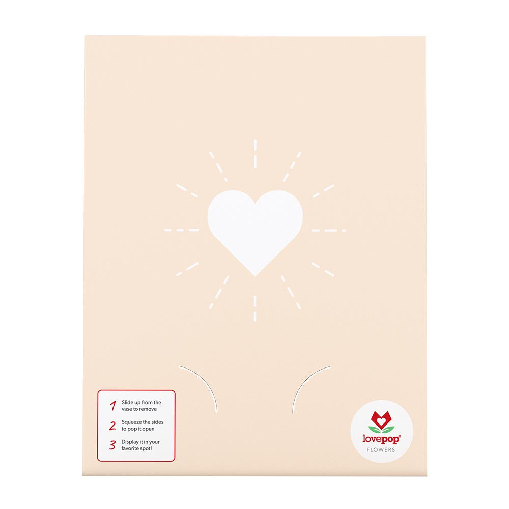 Christmas Poinsettia Bouquet、mySite、solidvoid