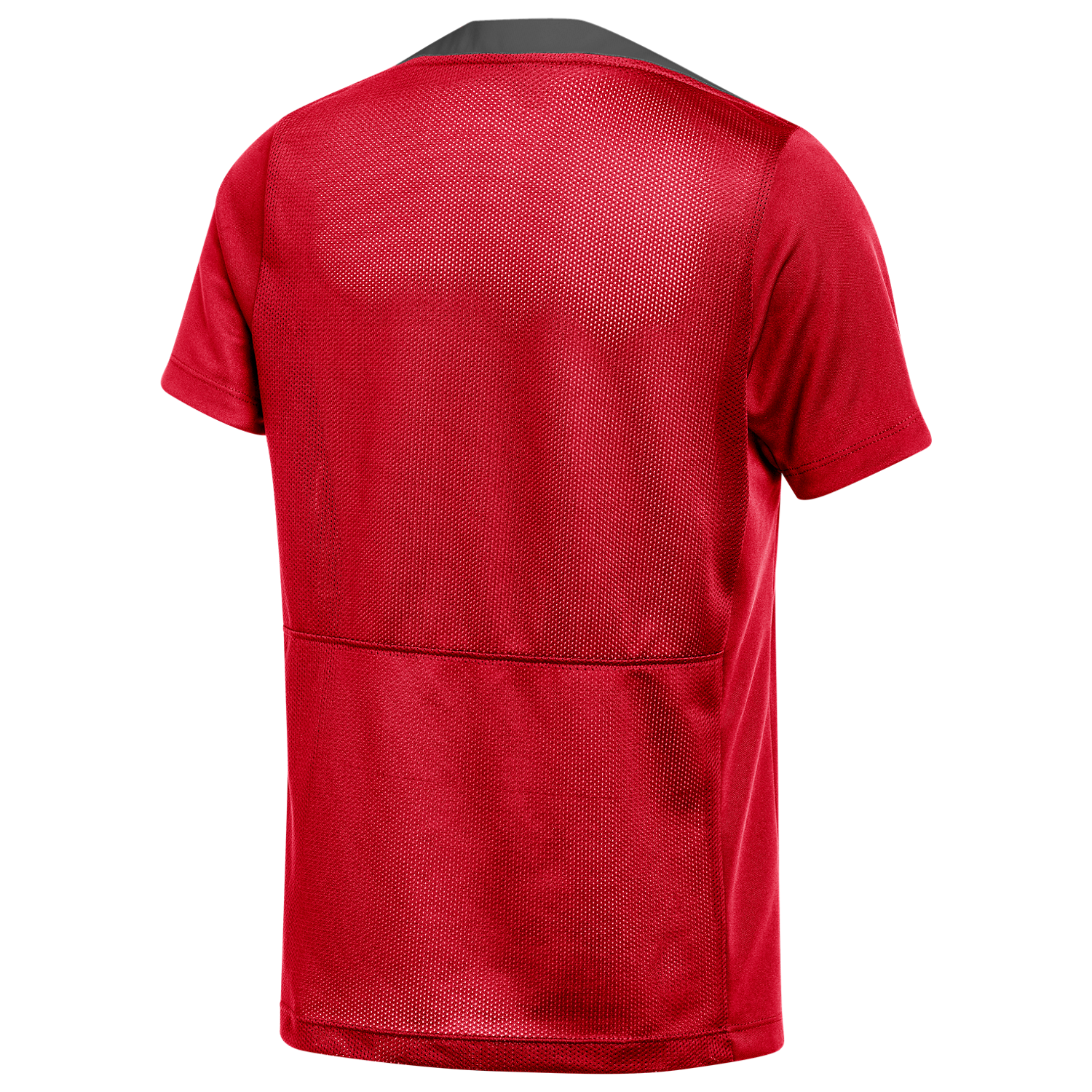 Nike Youth Dri-FIT Academy Pro 24 Top - Red、mySite、noshort