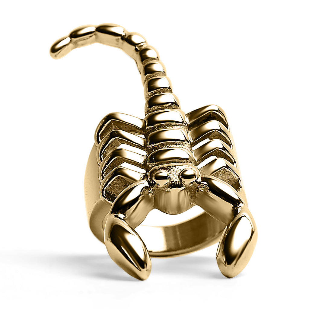 Stainless Steel PVD Coated Scorpion Men's Ring / SCR4100、mySite、dreamappss