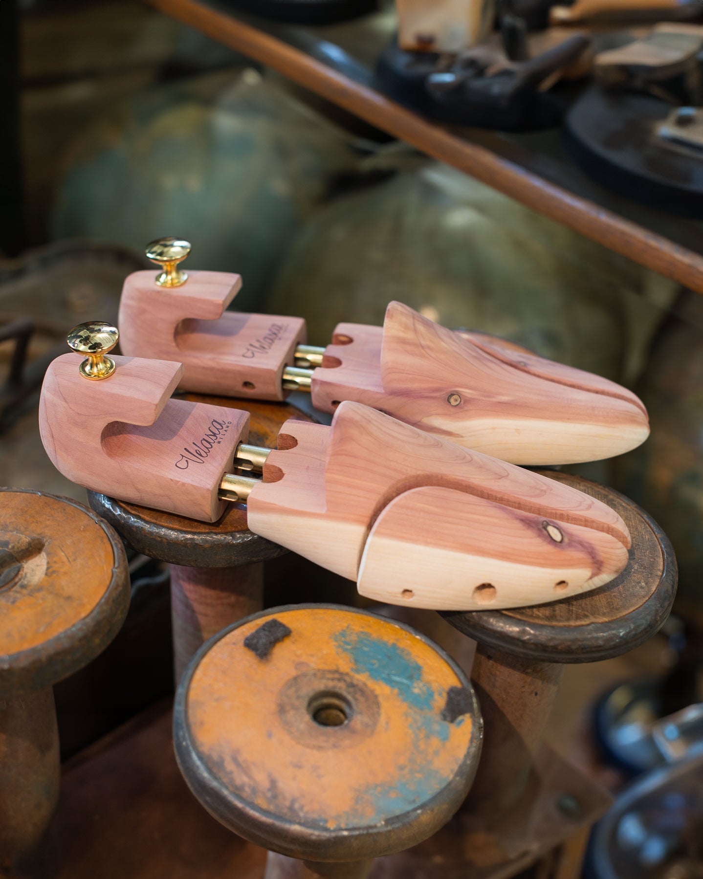  Gamba de legn、mySite、merchandisen