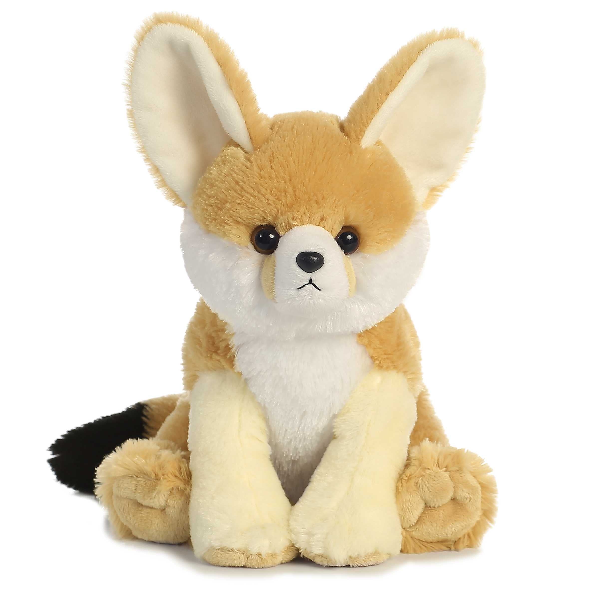 Aurora® - Destination Nation™ - 12 Fennec Fox、mySite、g9winljtr