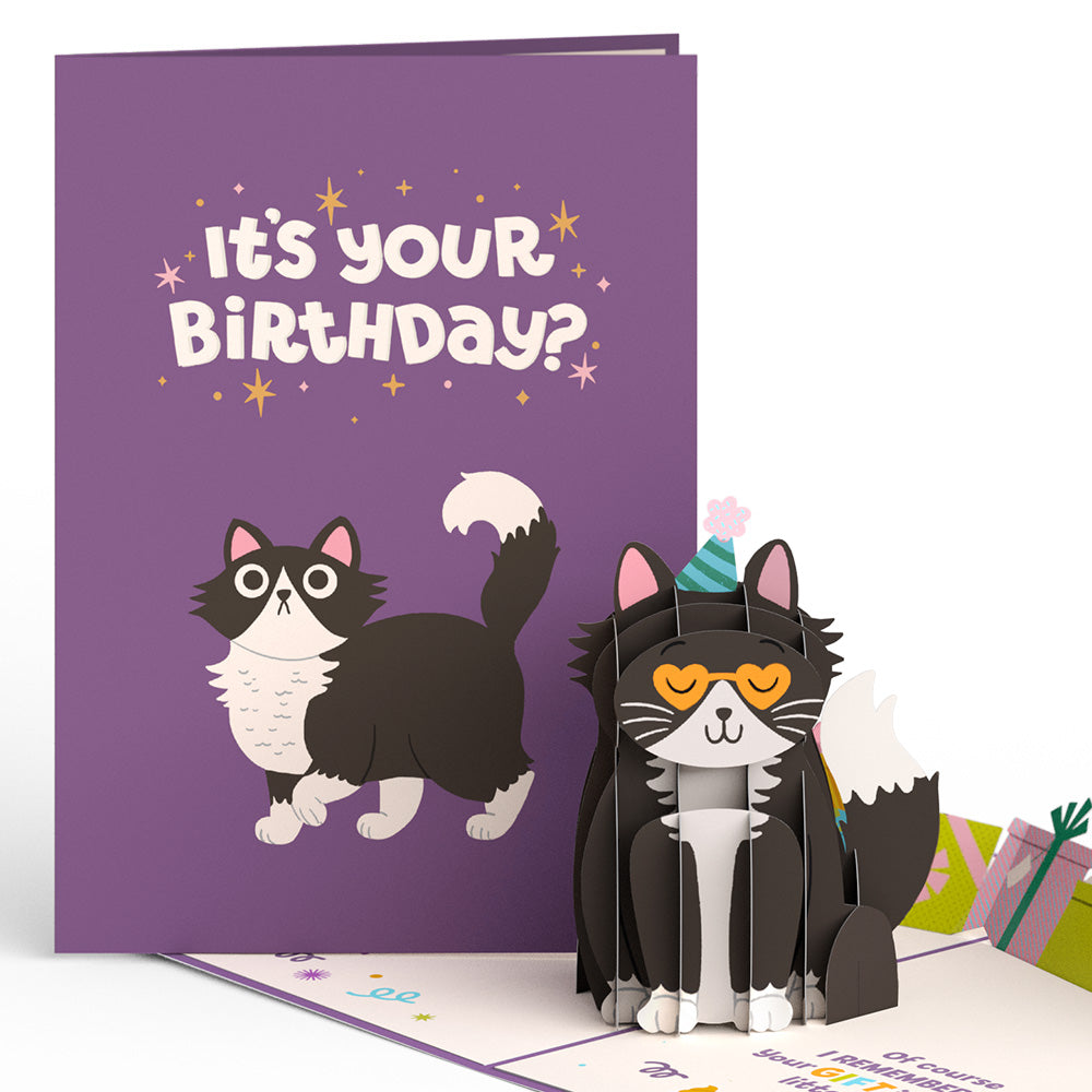 Your Gift Is in the Litterbox Birthday Cat Pop-Up Card、mySite、solidvoid