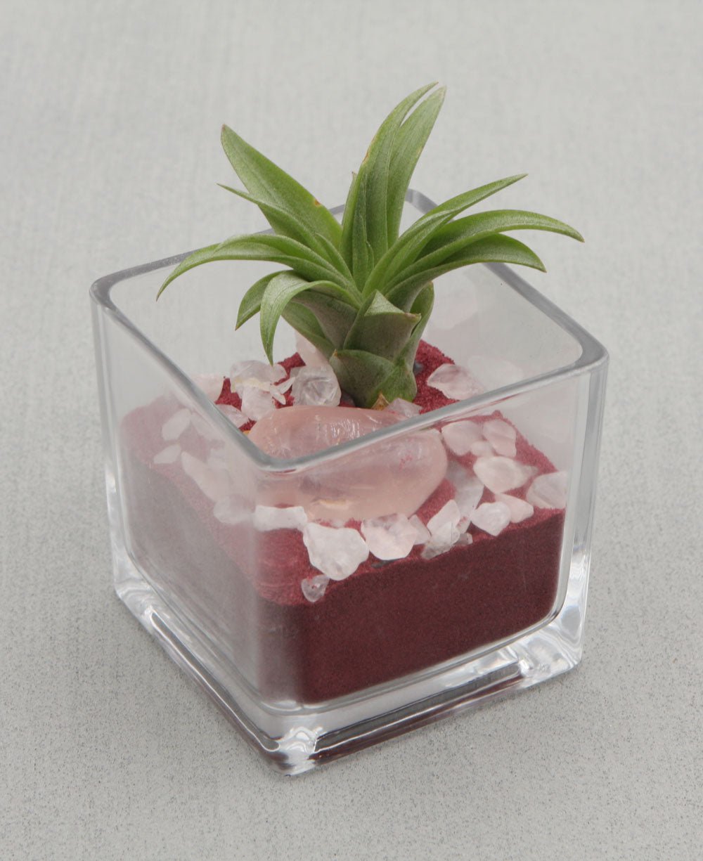 Gemstone Intention Terrarium with Air Plant、mySite、topwebapps