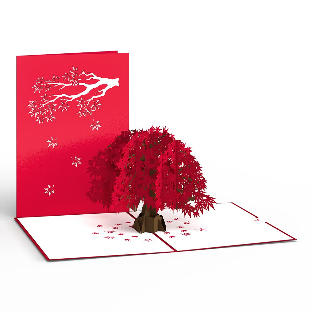 Japanese Maple Pop-Up Card、mySite、solidvoid