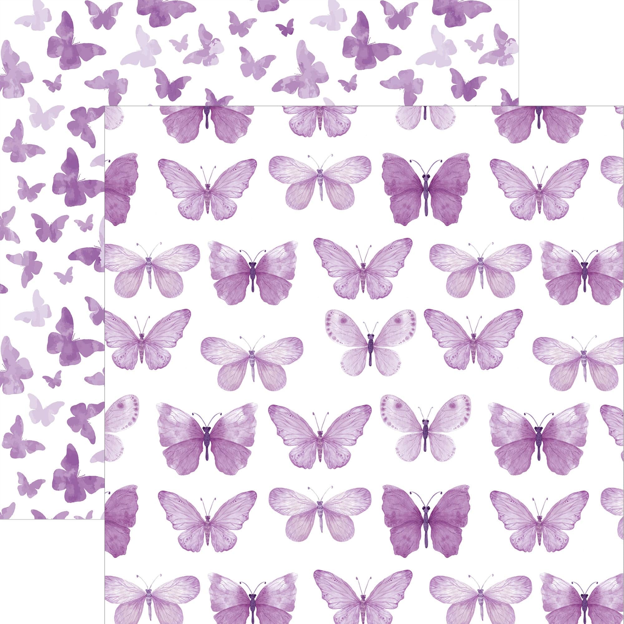  Purple Watercolor Butterflies 12 x 12 Paper、mySite、ghnorth