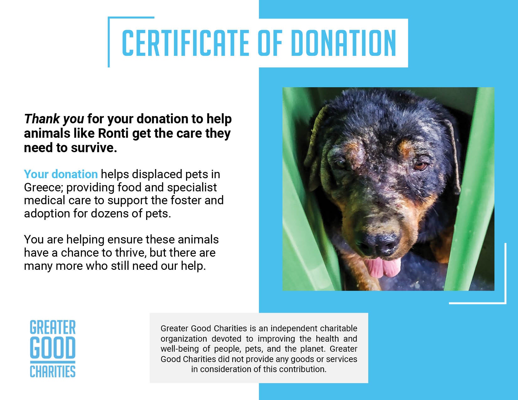 Funded: Starving Puppy Needs Our Help To Grow Big & Strong、mySite、camillekostekn