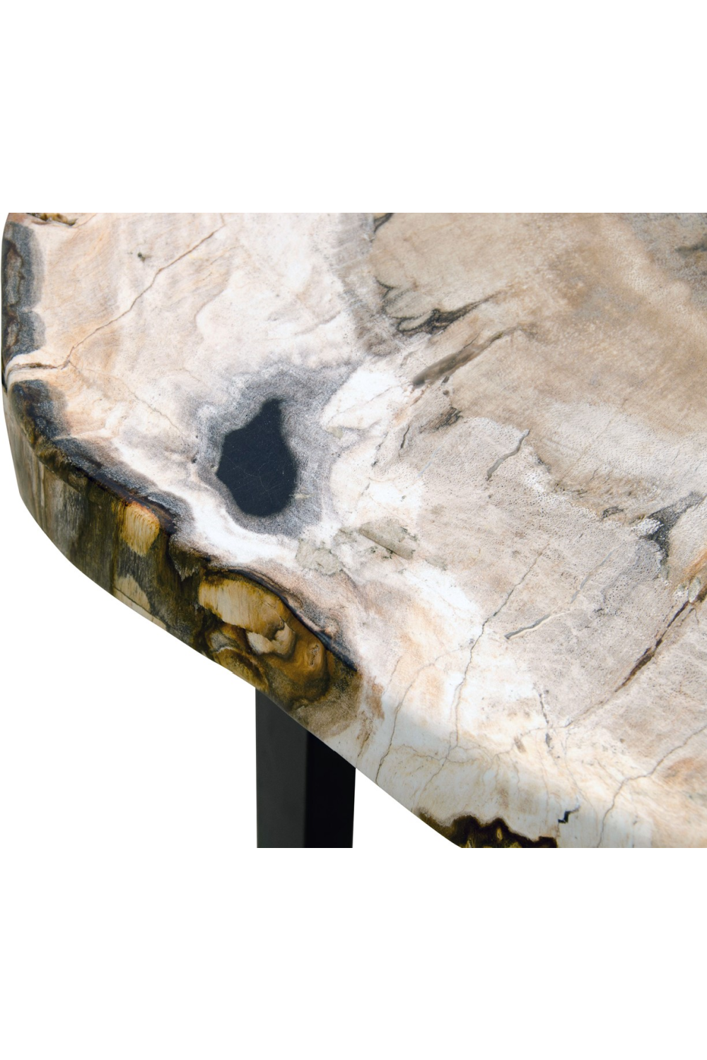 Petrified Wood Occasional Table | Versmissen、mySite、neckold