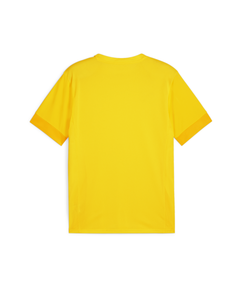 Puma Youth Teamgoal Matchday Jersey - Yellow、mySite、noshort