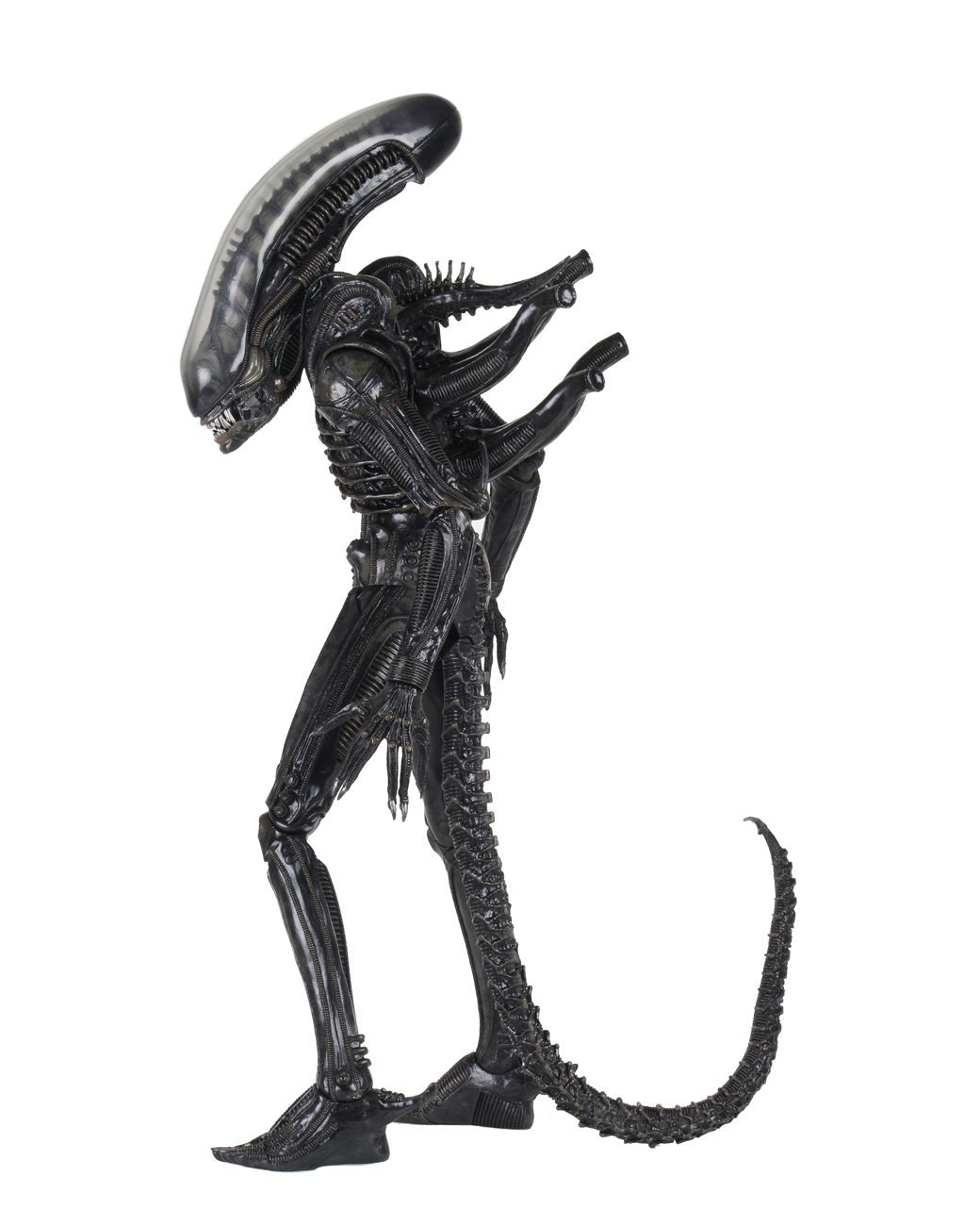NECA Alien Ultimate 40th Anniversary Big Chap (1:4 Scale) (Re-Issue)、mySite、hgirdovlk