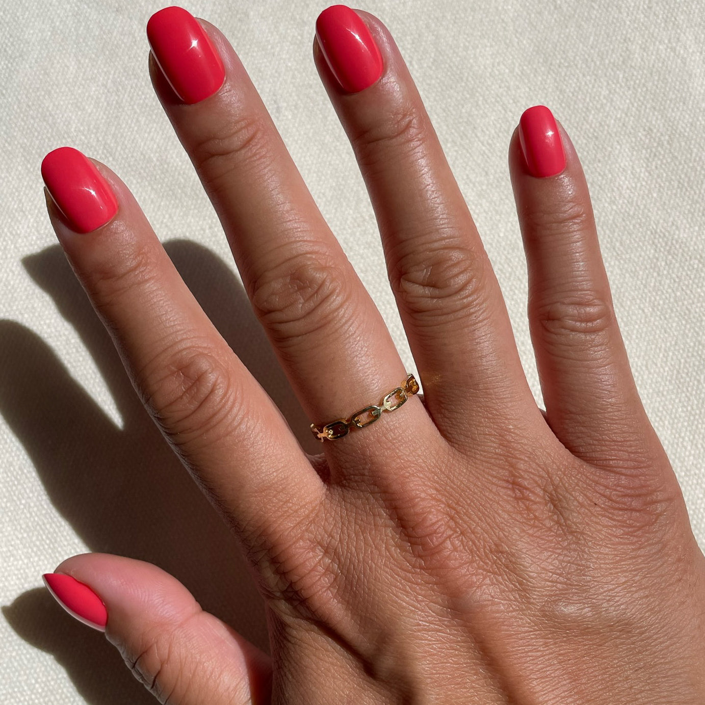 Field Day | Round | Extra Short、mySite、solidvoid