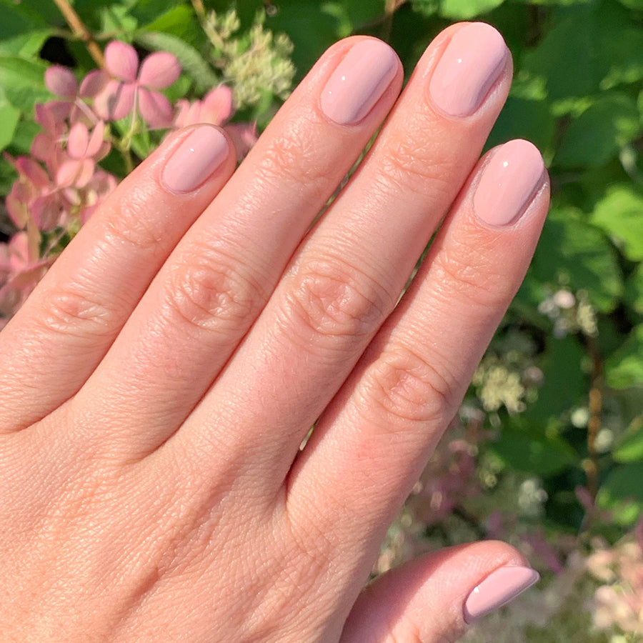 Study Hall、mySite、solidvoid