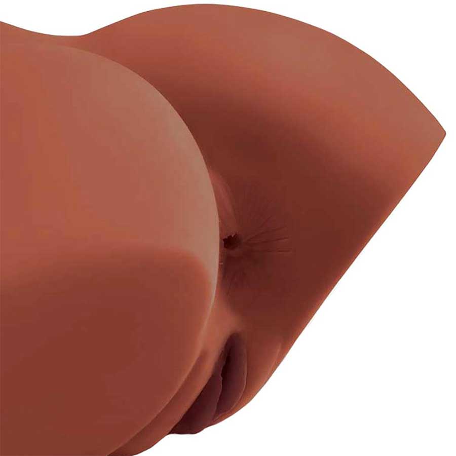PDX Plus Perfect 10 Realistic Sex Doll Torso Brown by Pipedream Products、mySite、bottomscart