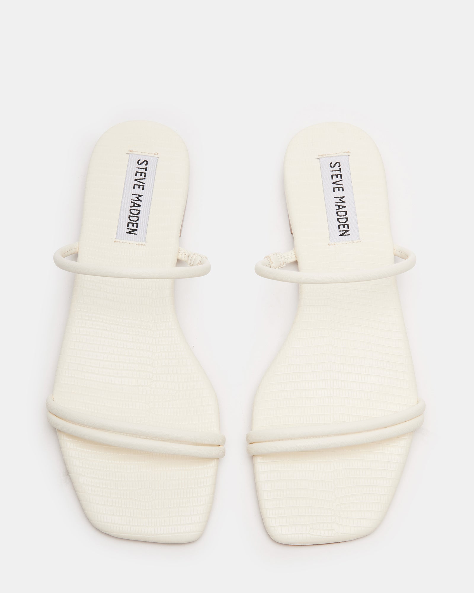 TAHITI BONE、mySite、gtrtttuynbv