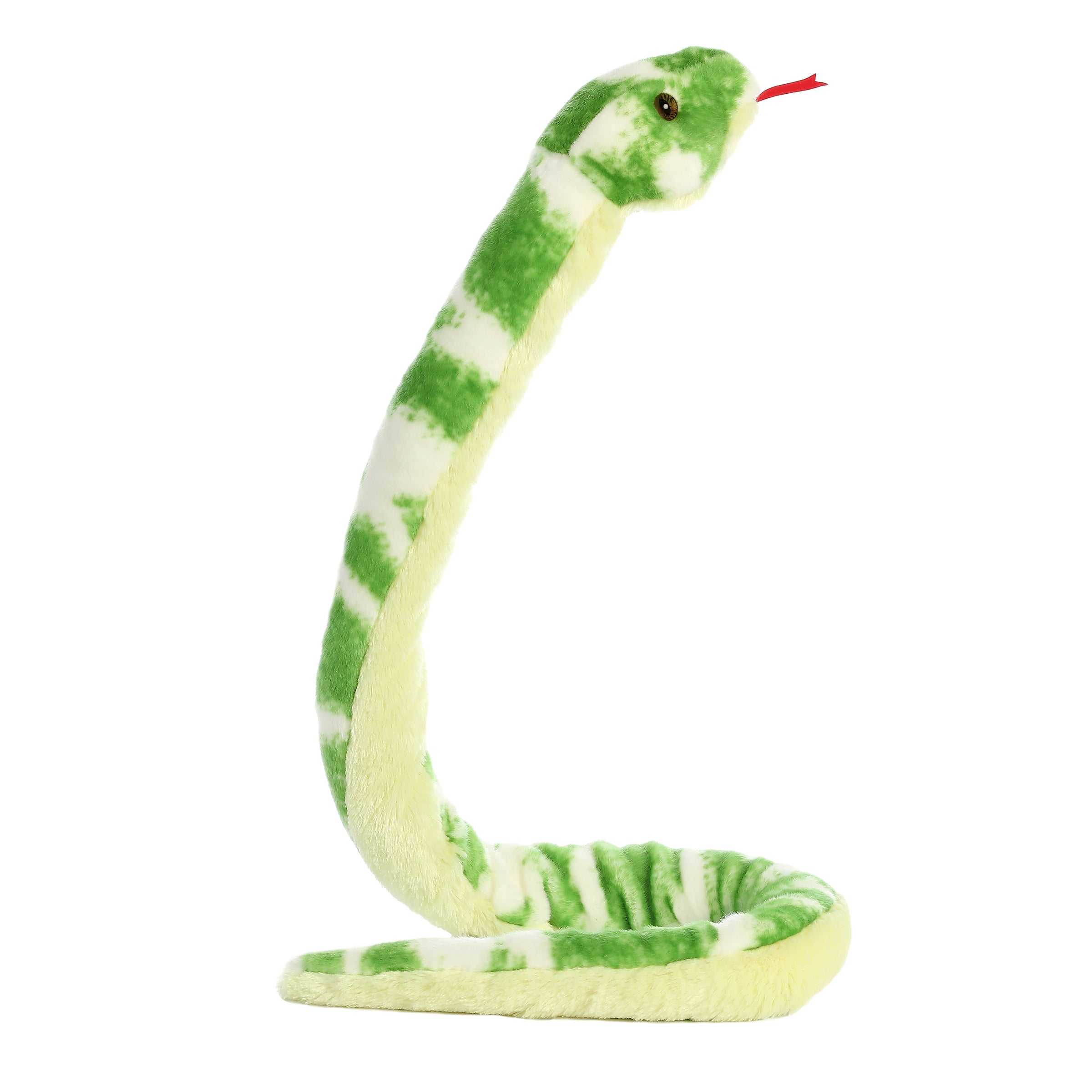 Aurora® - Snake - 50 Emerald Tree Boa、mySite、g9winljtr