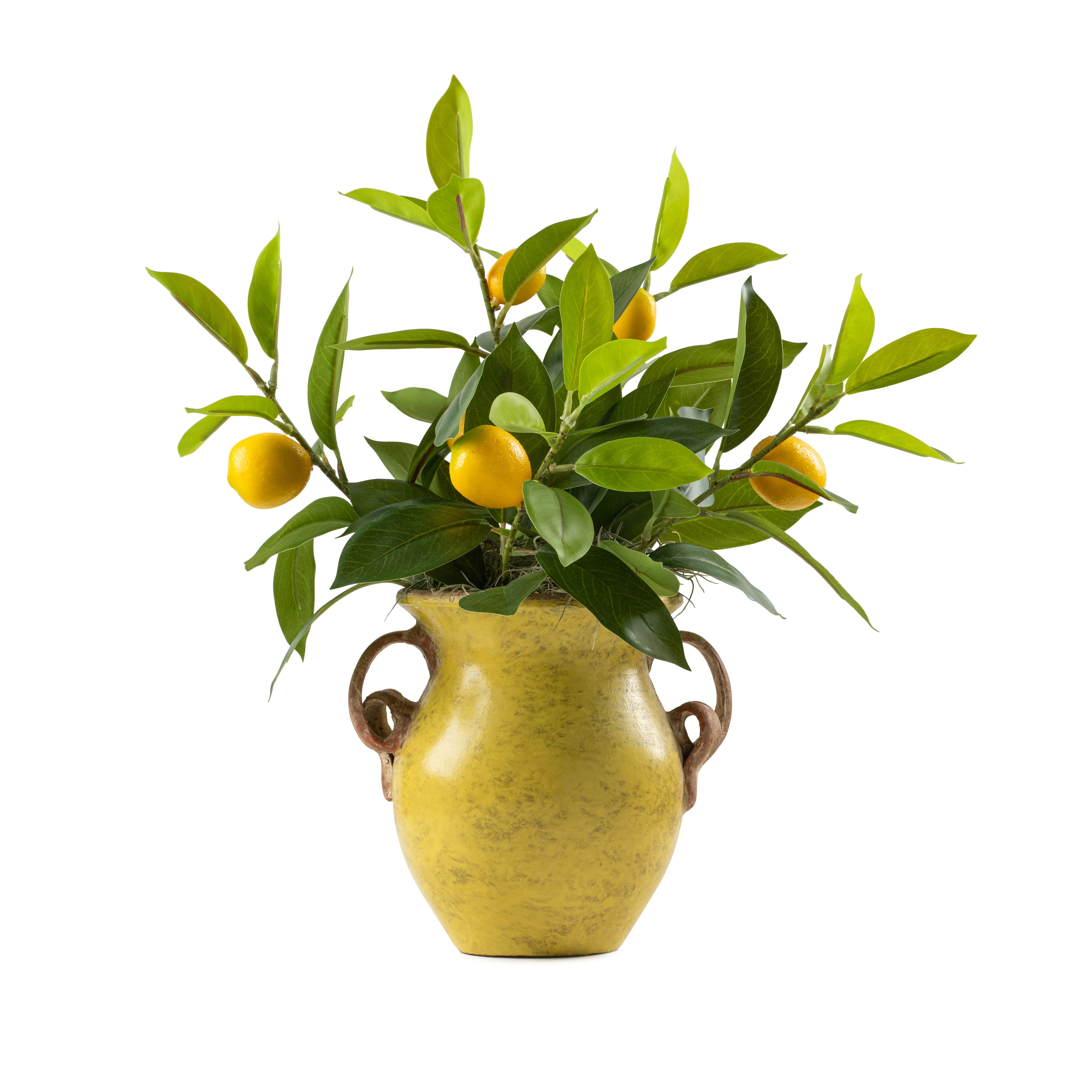  DH Lemons in Mustard Pottery Vase With Handles、mySite、elrpsem3k