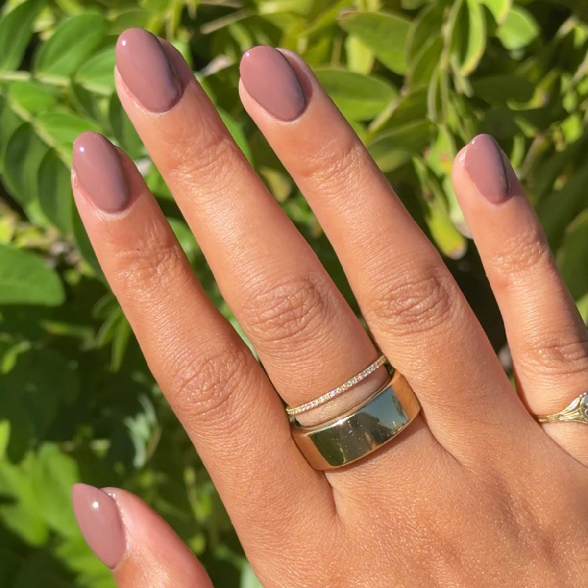 Shacket - Gel、mySite、solidvoid