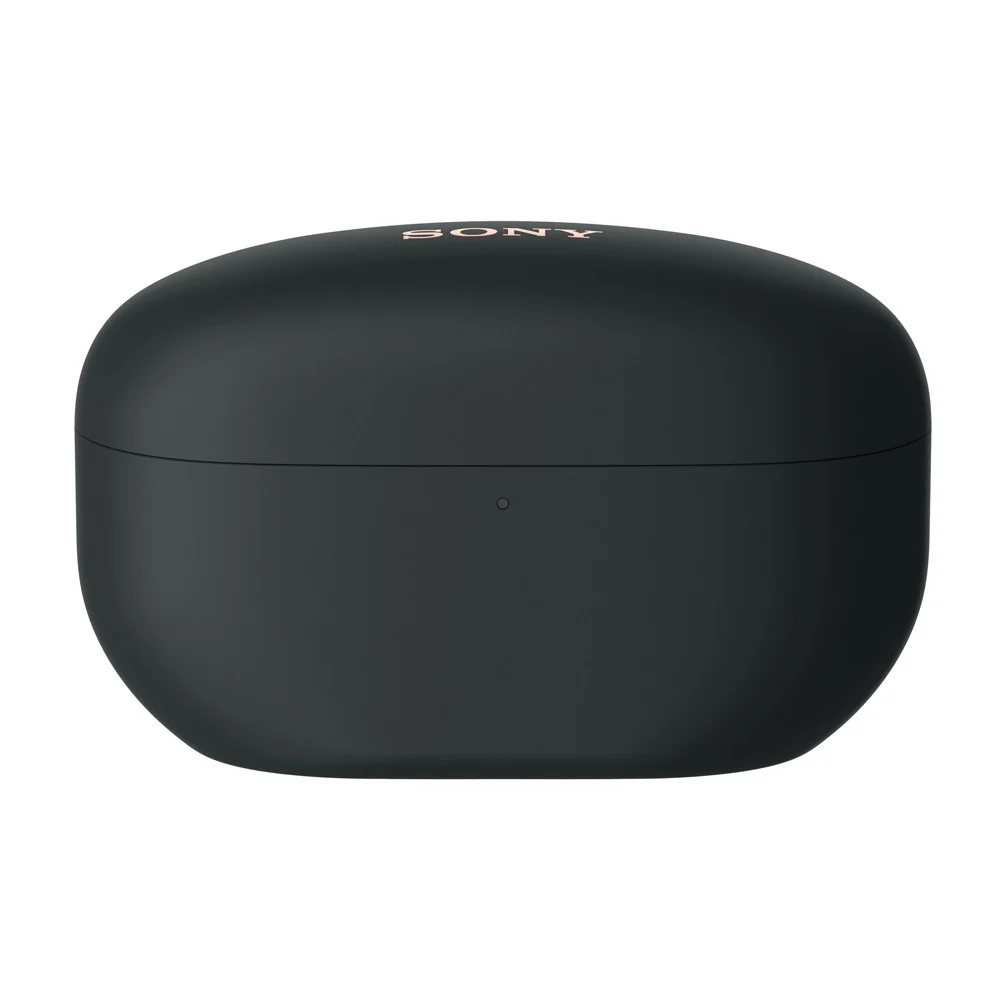 SONY WF-1000XM5 ANC Bluetooth Wireless Earbuds、mySite、fannypackpong