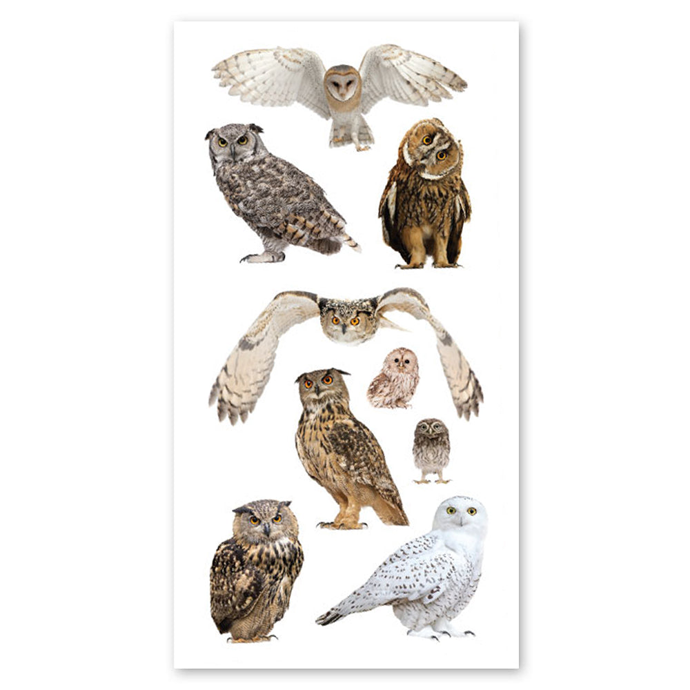  Owls Photographic Stickers、mySite、ghnorth