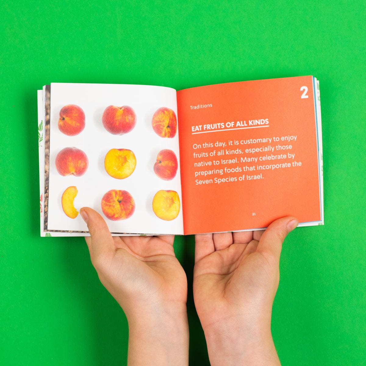 Tu B'Shvat in a Box、mySite、topwebapps