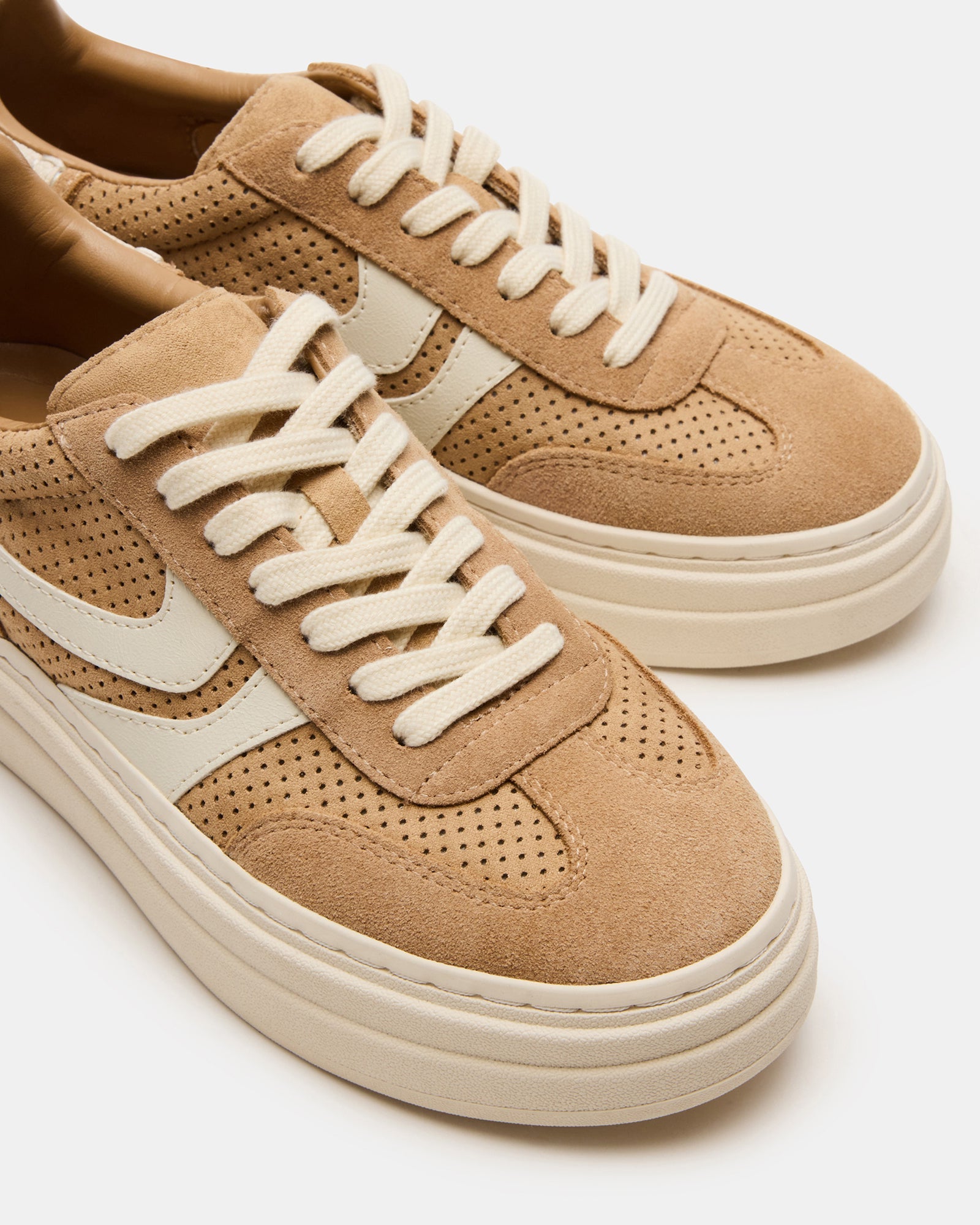 DODGE PERFORATED CAMEL MULTI、mySite、gtrtttuynbv