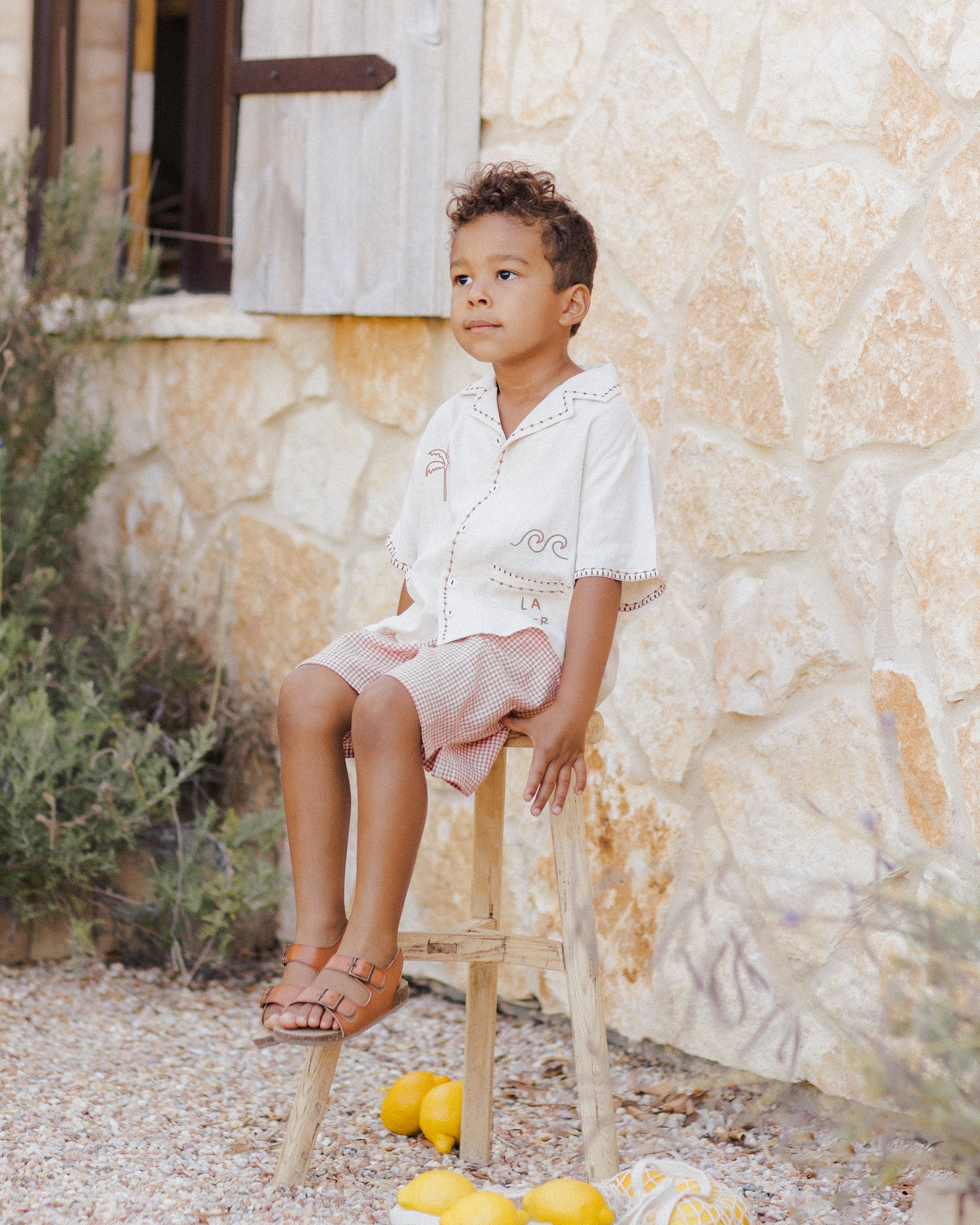  Perry Short || Poppy Gingham、mySite、layawaytickets