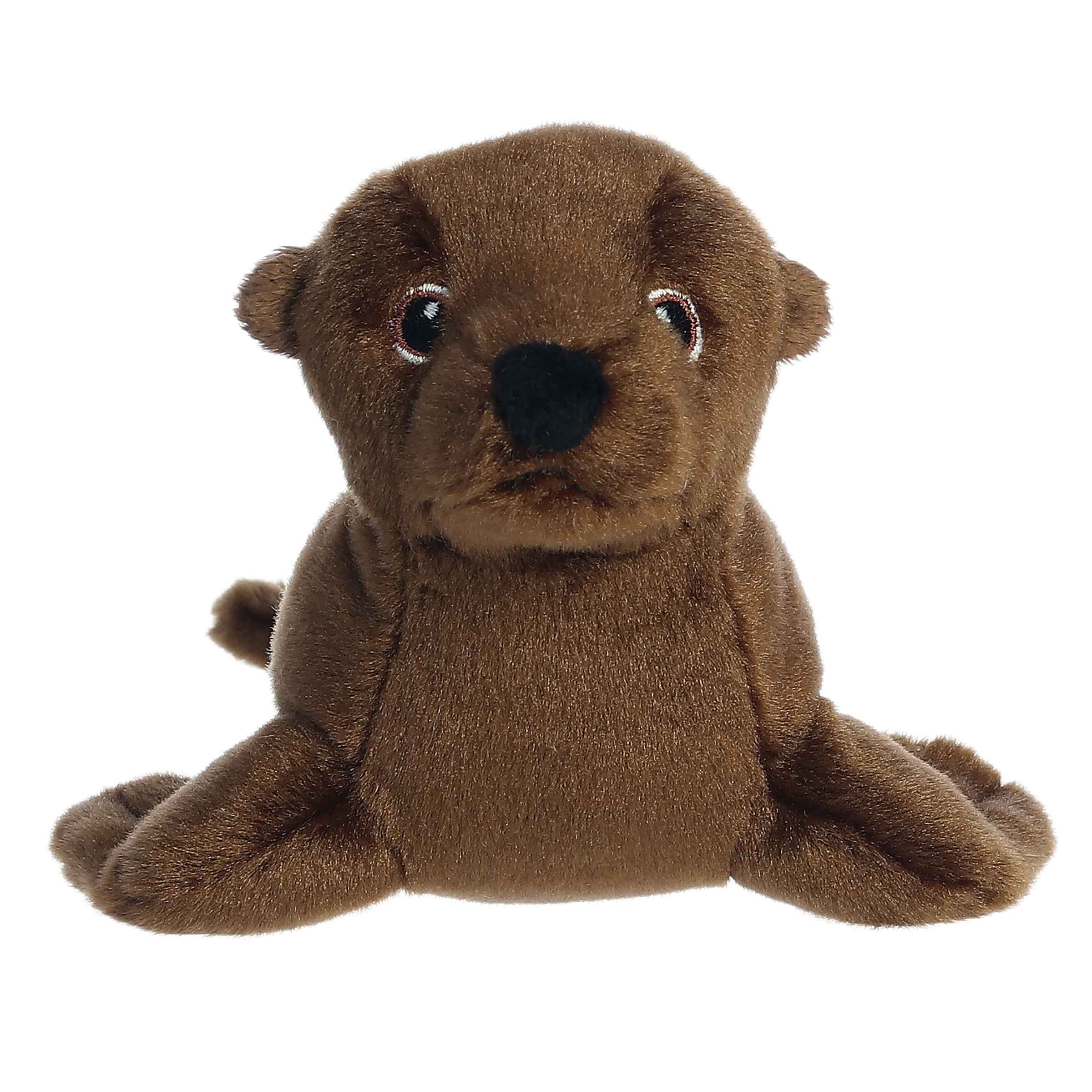 Aurora® - Eco Nation™ - Eco Softies™ - 8 California Sea Lion、mySite、g9winljtr
