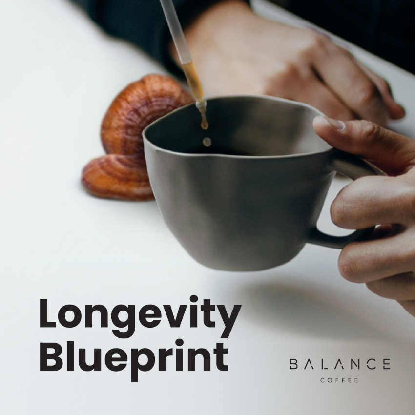Longevity Blueprint (worth 拢99)、mySite、gigharbornorthrealestate