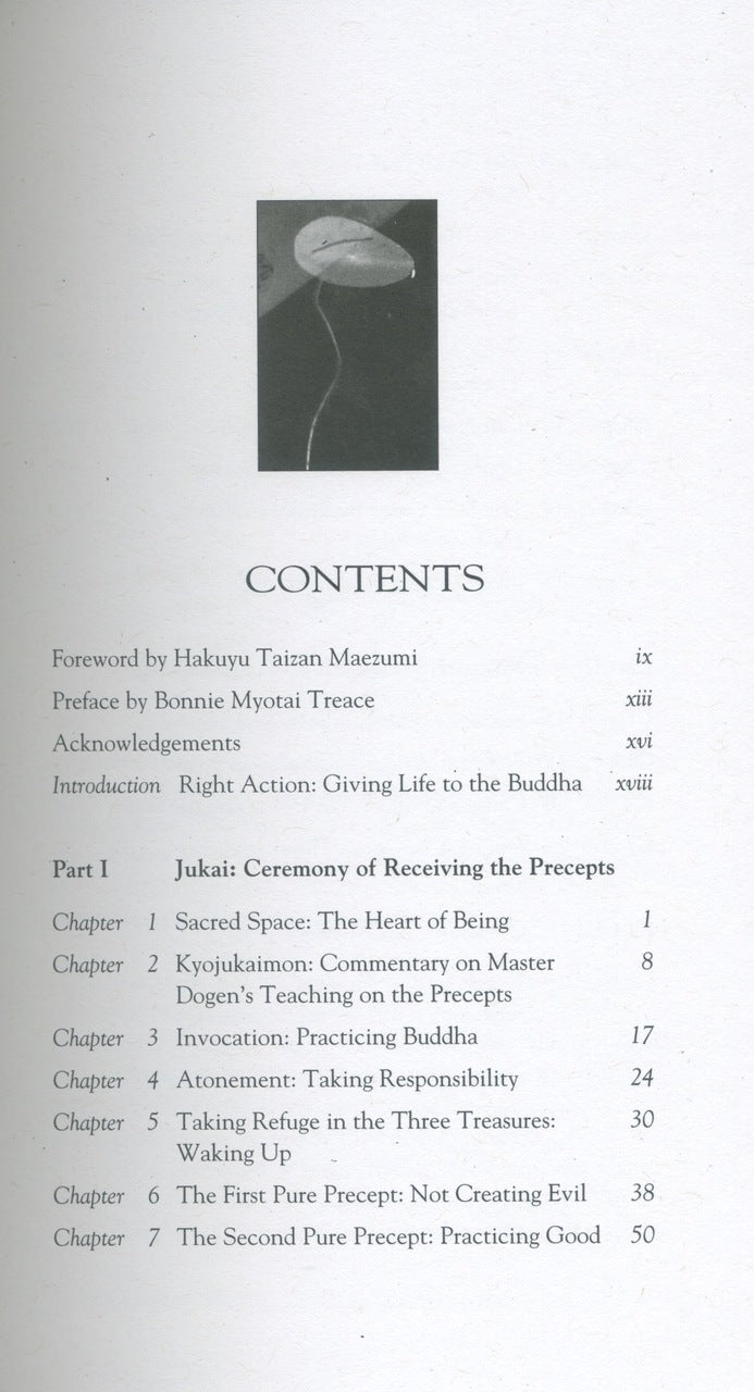 The Heart of Being: Moral and Ethical Teachings of Zen Buddhism、mySite、topwebapps