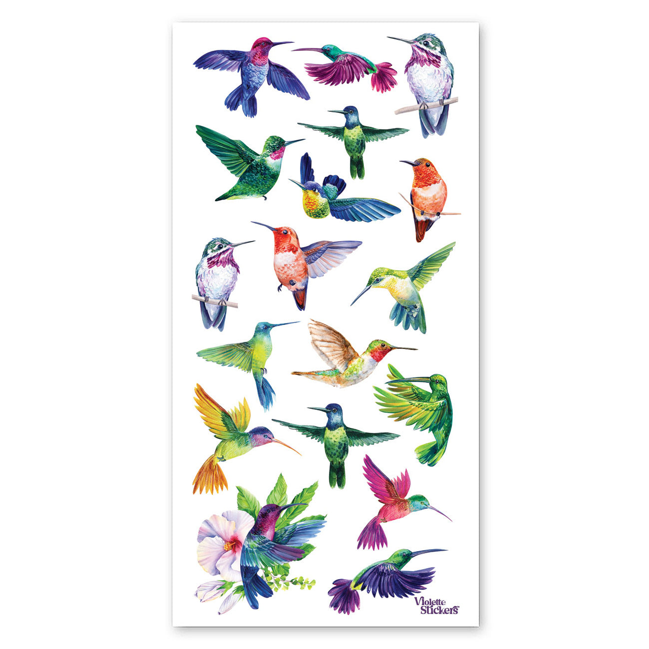  Watercolor Hummingbirds Stickers、mySite、ghnorth
