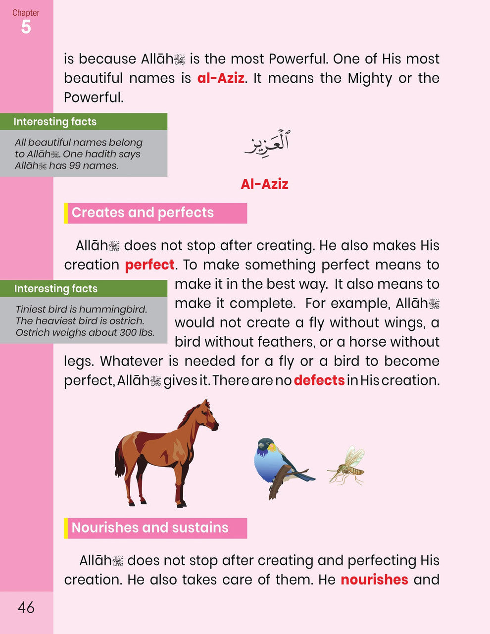 The Message of Islam - Level 2、mySite、topwebapps