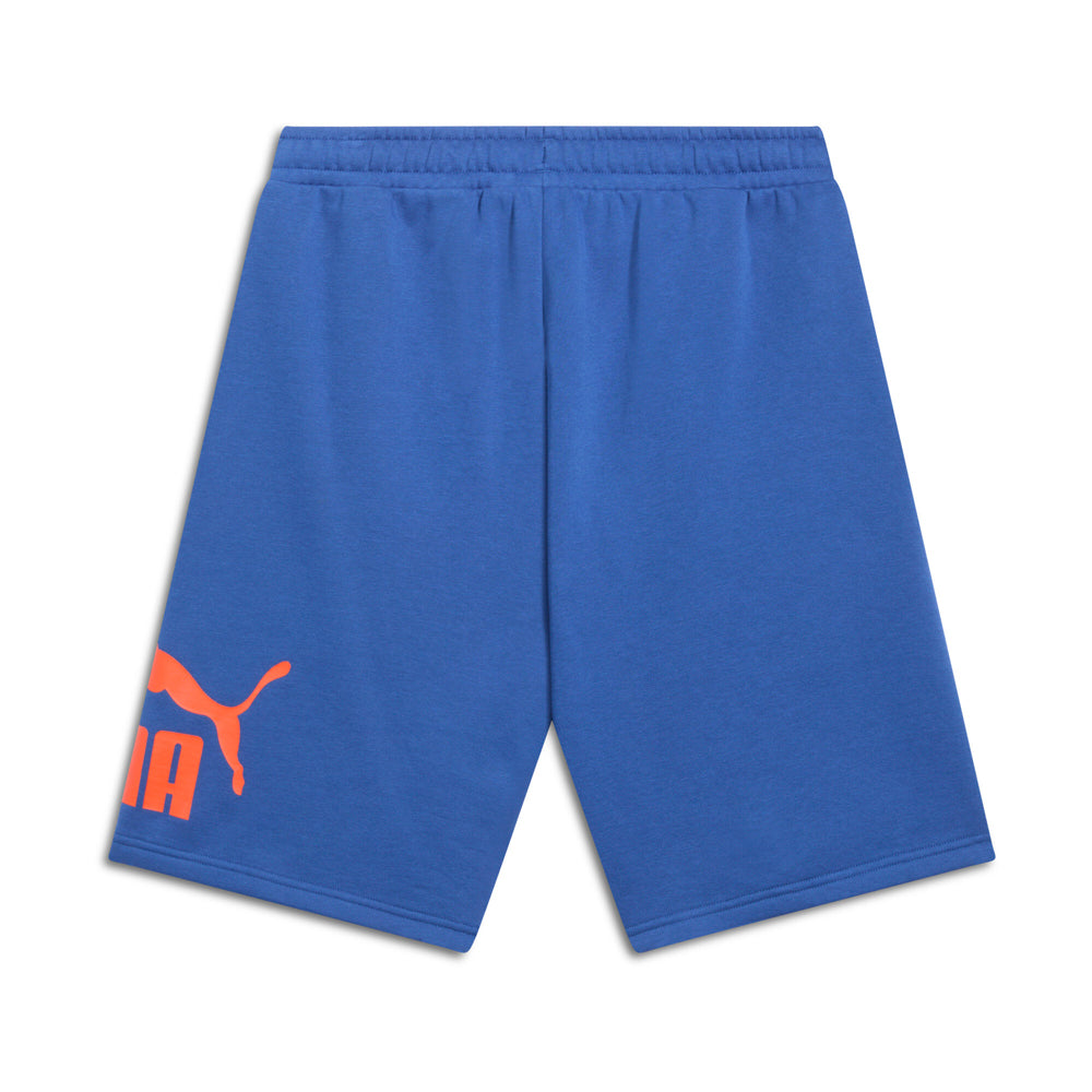 Big Logo Fleece Drawstring 10 Inch Shorts、mySite、gtrtttuynbv