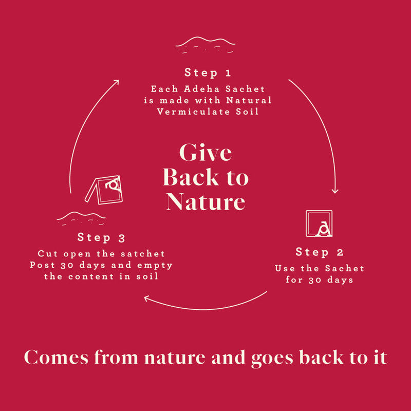 Air Freshener Whispering Woods | Bathroom, Wardrobe & Car | Pack of 6、mySite、camillekostekn