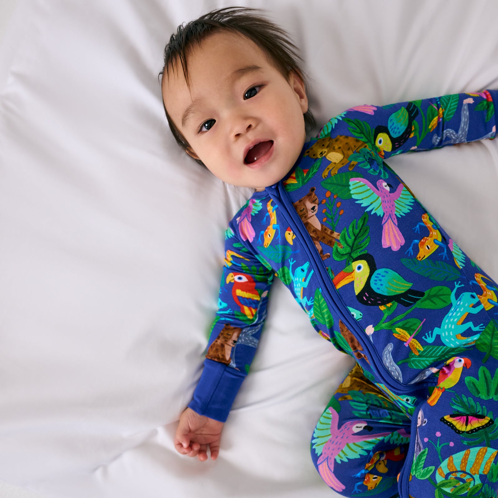  Jungle Jam Zippy、mySite、layawaytickets