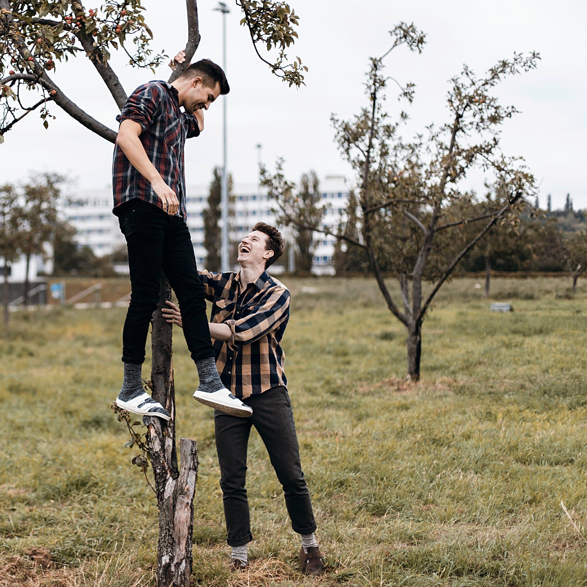 Arizona Essentials EVA、mySite、gtrtttuynbv