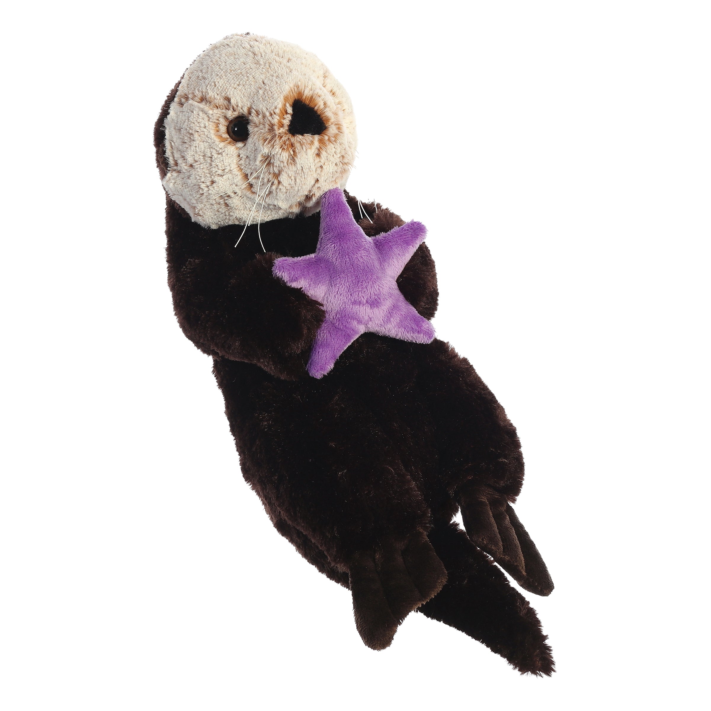 Aurora® - Destination Nation™ - 13 Sea Otter、mySite、g9winljtr