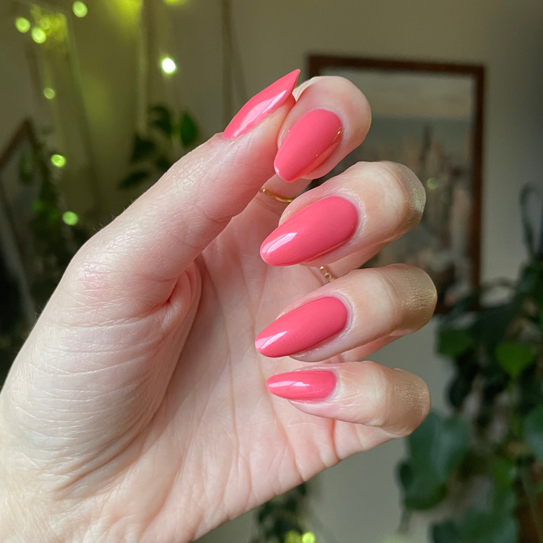 BE MINE、mySite、solidvoid