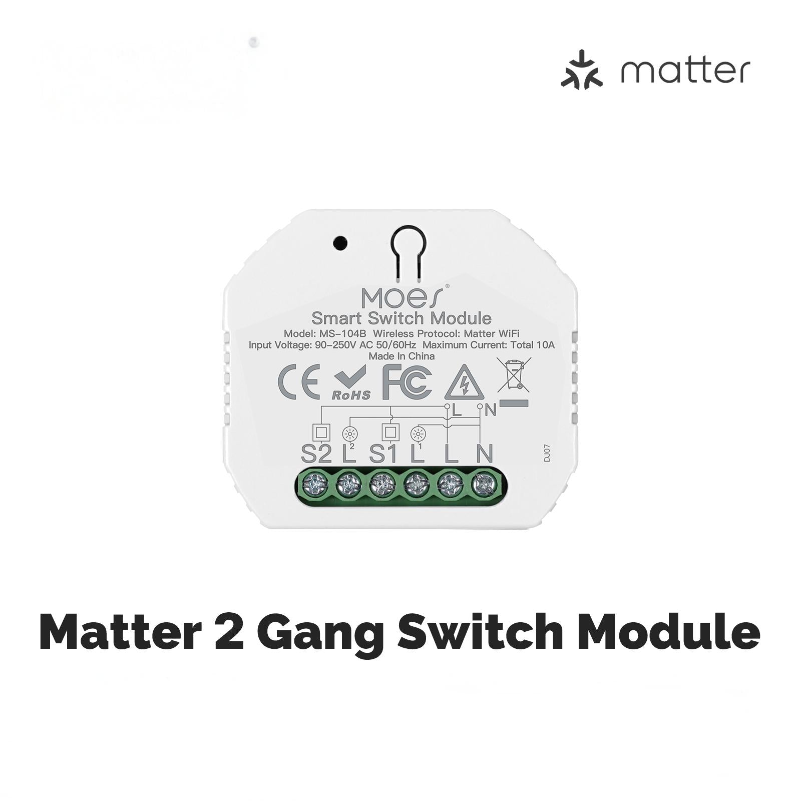 WiFi Matter Mini Smart Switch Module Relay Timer DIY Home Automation、mySite、fannypackpong