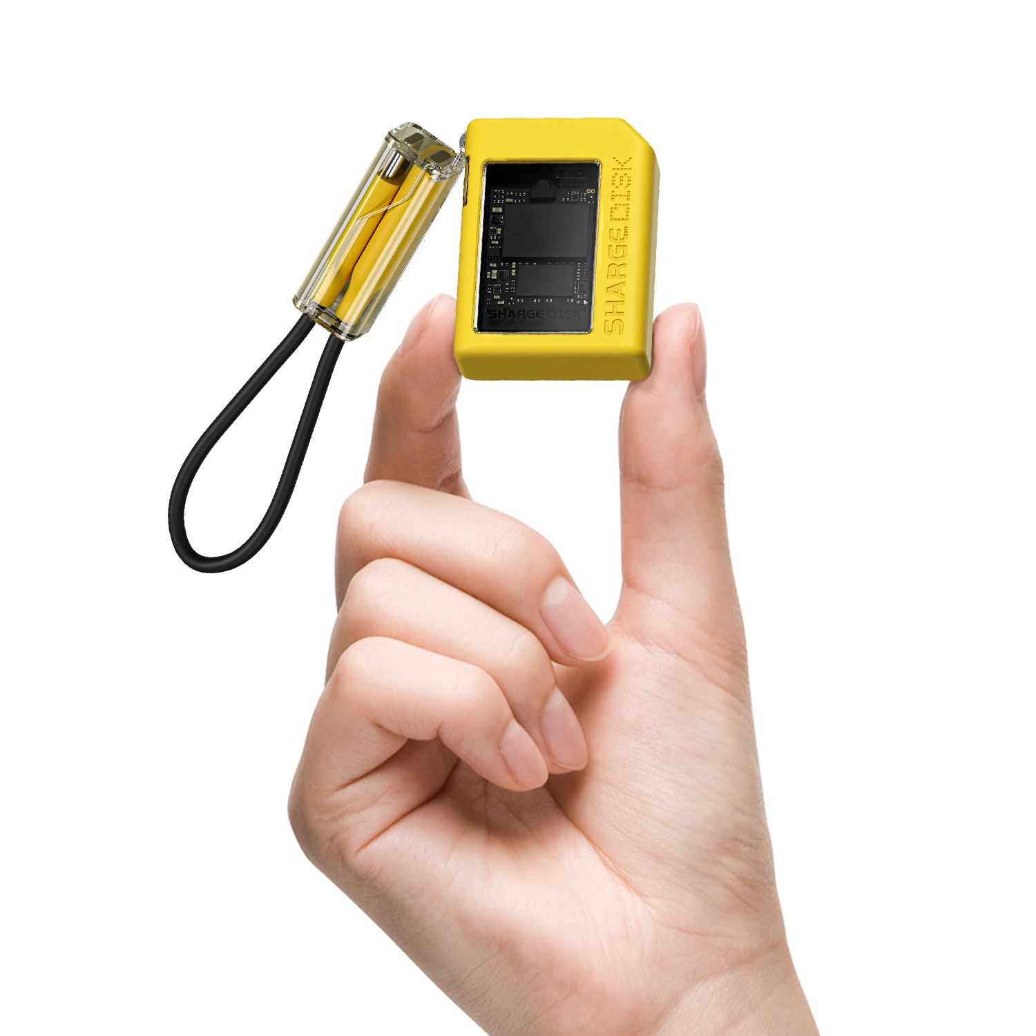 SHARGE Disk、mySite、fannypackpong