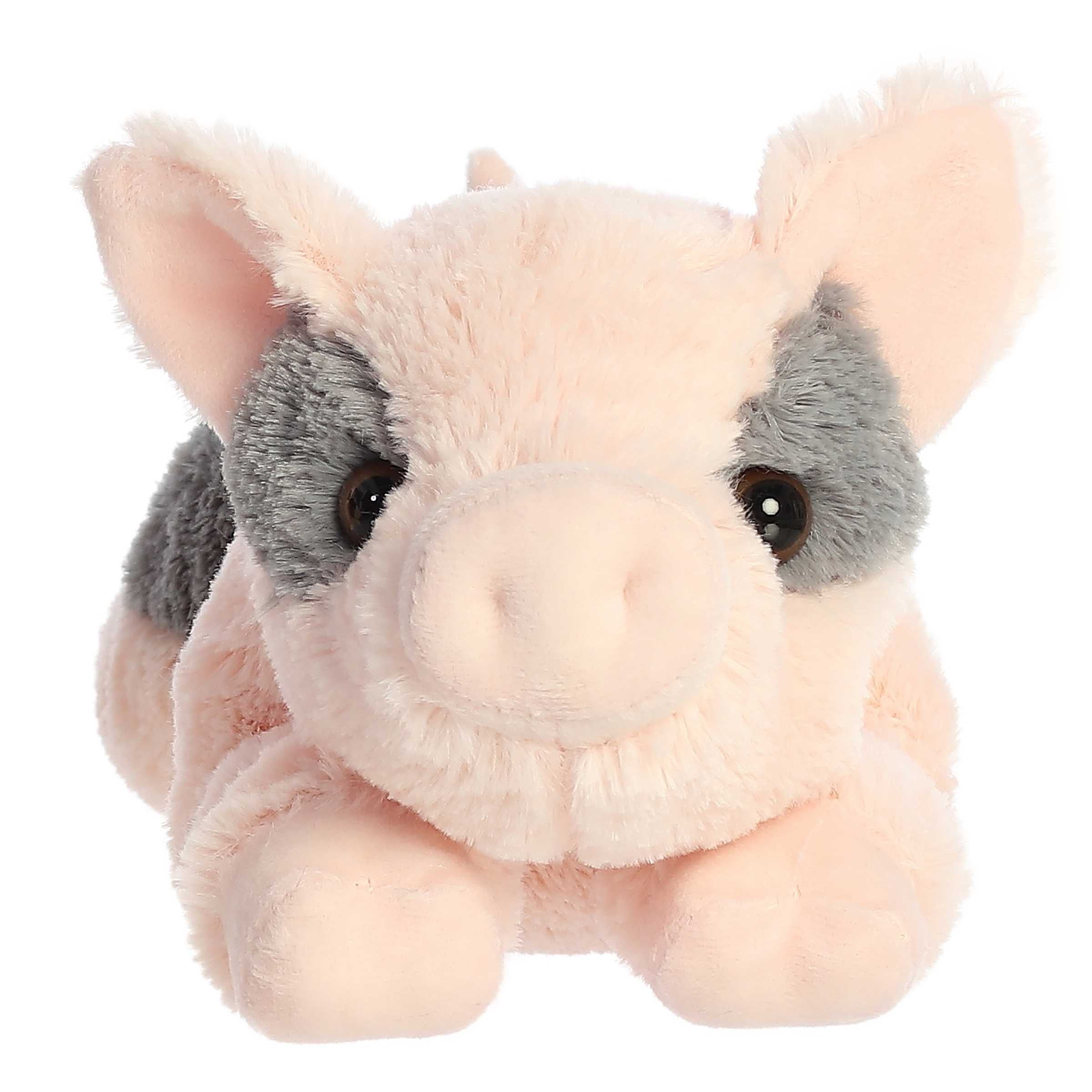 Aurora® - Flopsie™ - 12 Tidbit Mini Pig™、mySite、g9winljtr